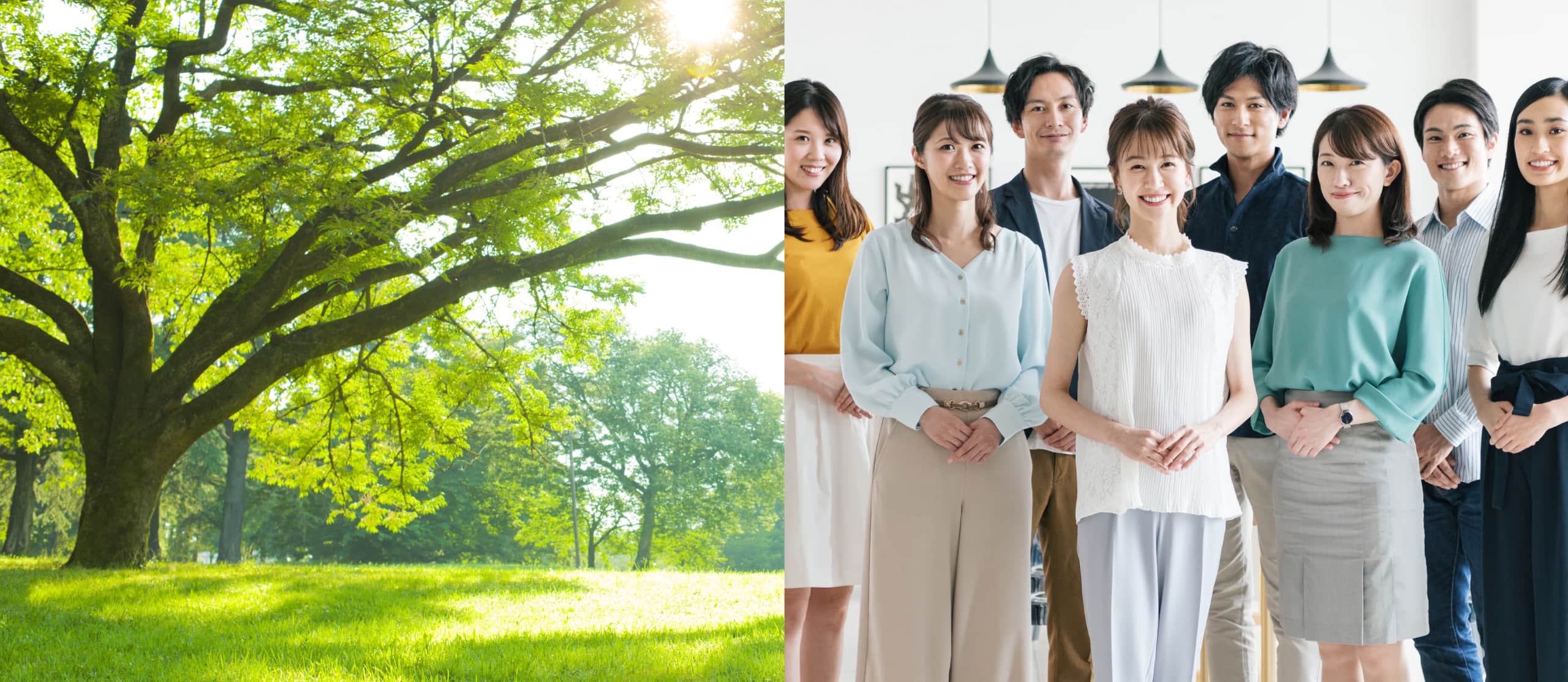 CSR（社会貢献活動）