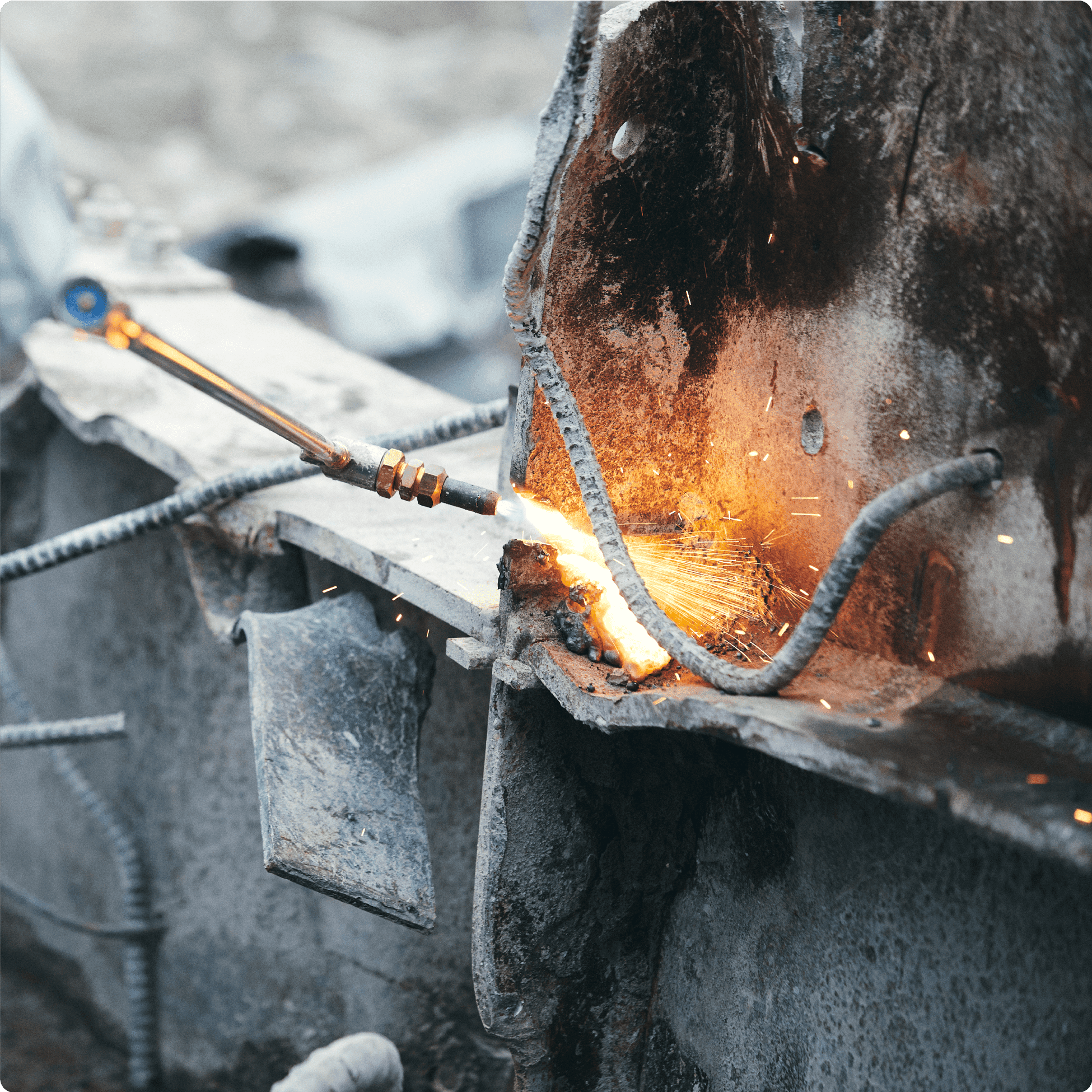 株式会社クワバラ・パンぷキンイメージ03